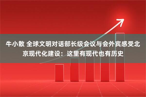 牛小散 全球文明对话部长级会议与会外宾感受北京现代化建设：这里有现代也有历史