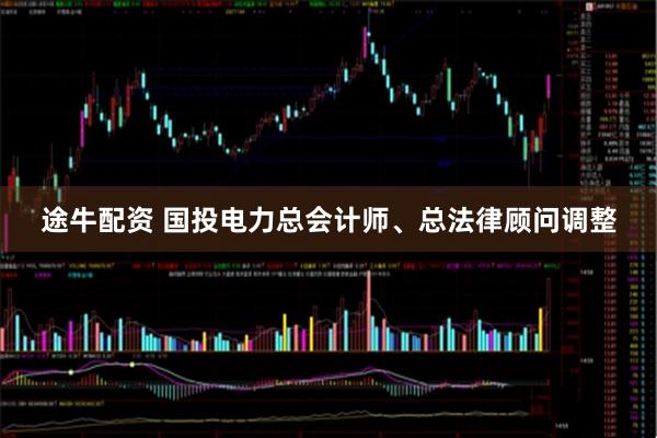 途牛配资 国投电力总会计师、总法律顾问调整